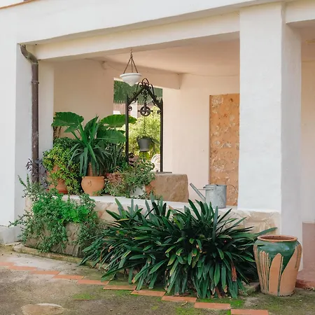 Casa Araucaria Villa